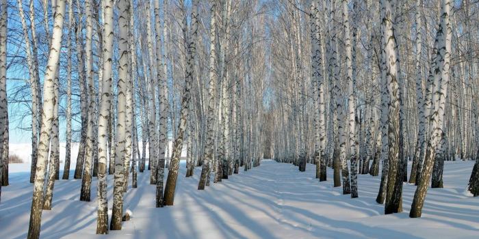 1920x1080 Russia Wallpapers | Best Wallpapers