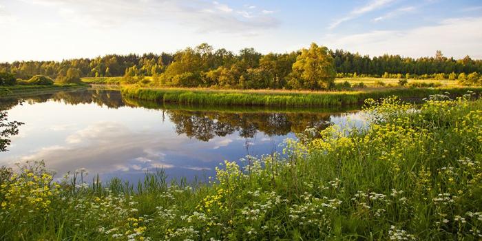 1280x853 Desktop Wallpapers Russia Nature Lake Landscape photography Grass