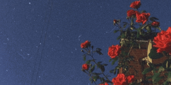 750x1334 mandy on phone background in 2019 | Aesthetic iphone