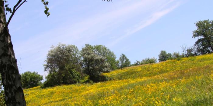 1920x707 Download free picture Cover. Desktop wallpaper Russian nature. on CC