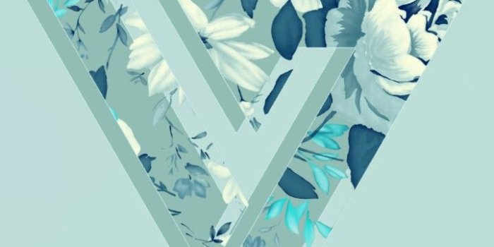 720x1280 K-pop Inspiration › - Seventeen Phone Cases Iphone 5 (#488741) - HD