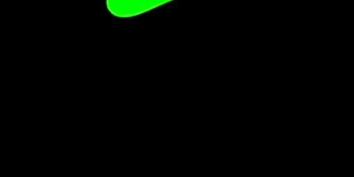 1107x1965 68+ Green Nike Wallpapers on WallpaperPlay
