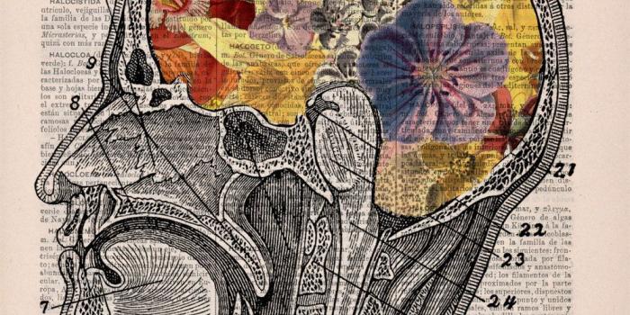 1000x1415 Psychology is an academic and applied discipline that involves the