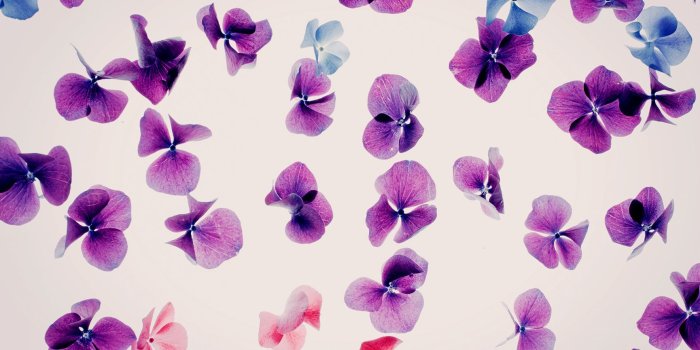 1730x1155 25 Gorgeous iPhone 7 & 7 Plus Wallpapers | Preppy Wallpapers