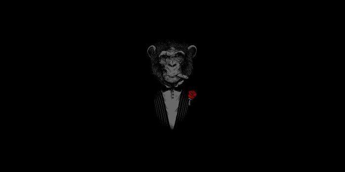 1920x1080 Fun, Monkey,dark, HD Artworks, Samsung, Amazing Funny Arts, Humor