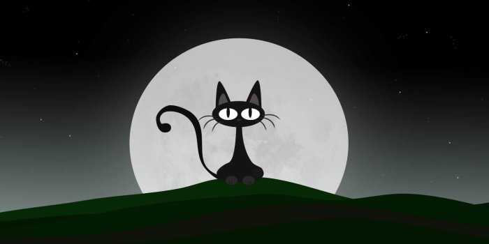 1600x1200 50+ Cat Cartoon Phone Wallpapers - Download at WallpaperBro