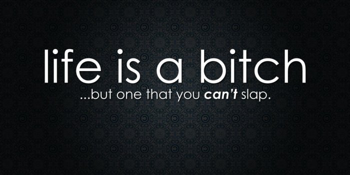 1336x768 1336x768 Life is a Bitch Quote Laptop HD HD 4k Wallpapers, Images