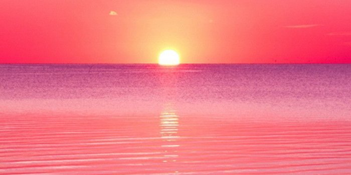 800x1094 1544 Pink Sunset | IPhone Wallpaper | Pink sunset, Sunset wallpaper