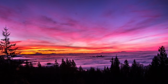 5047x2867 Backlit Bright Pink Sunset Landscape 5k, HD Nature, 4k Wallpapers