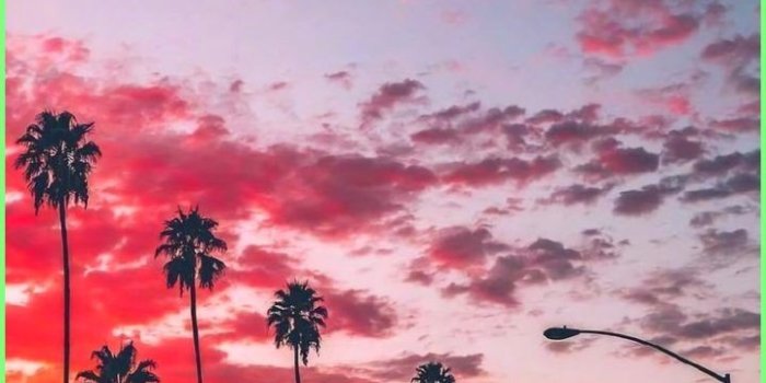 720x1272 Wallpaper SKY: Pink sunset iphone wallpaper - Wallpaper World