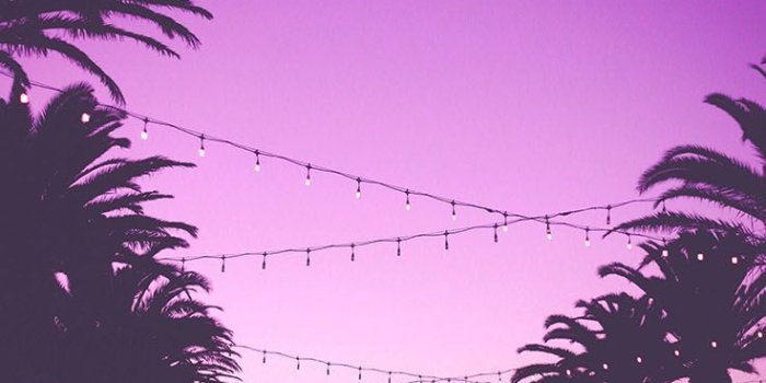 736x1308 Summer Sunset Iphone Wallpaper ☆ Download It At Www - Pink Sunset