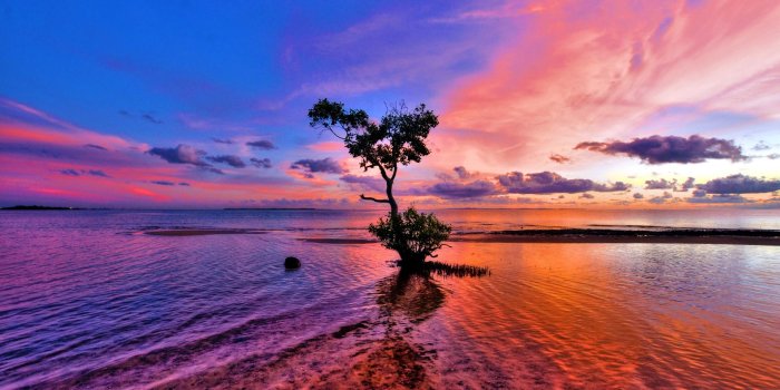 1920x1200 Pink Sunset Wallpaper #6838282