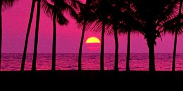 744x1392 Pink Sunset With Palm Trees - The iPhone Wallpapers