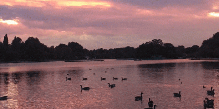 750x1334 Source: Pink Sunset Wallpaper-PP8A967.jpg | Wallperio.com™