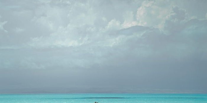 728x1092 HD wallpaper: sea, trees, clouds, horizon, armenia | Wallpaper Flare