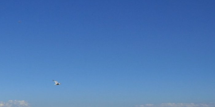 938x1668 Download wallpaper 938x1668 day of lake sevan, sevan, armenia, lake