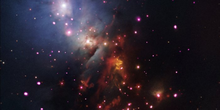 3600x3600 HD wallpaper: unpaired black and white Air Jordan 11 shoe, space