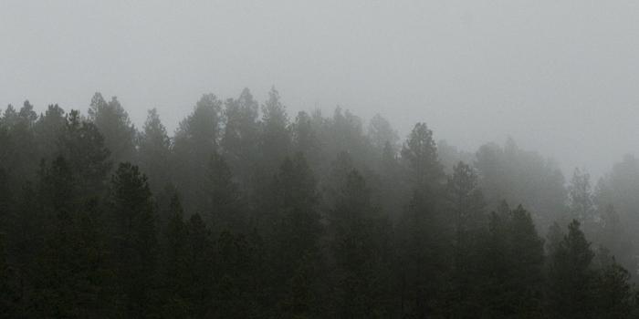 3840x1080 Double Screen Desktop Background Free Wallpaper & Backgrounds