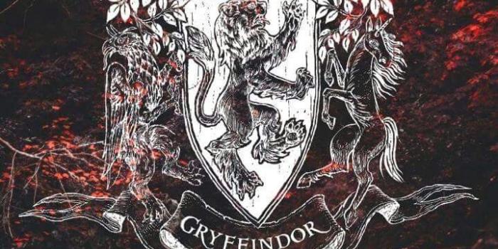 719x1280 Gryffindor Emblem #harrypotter | Literature Art in 2019 | Harry