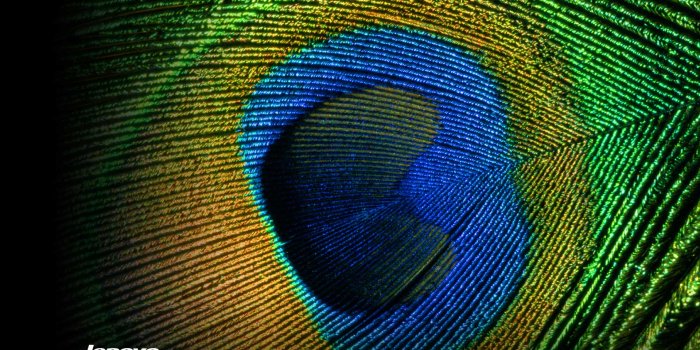 1920x1200 Laptop Guide: Lenovo Laptop Forgot Password