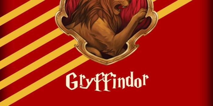 725x1280 Gryffindor Wallpaper HD for Android & Iphone {Free Download}*