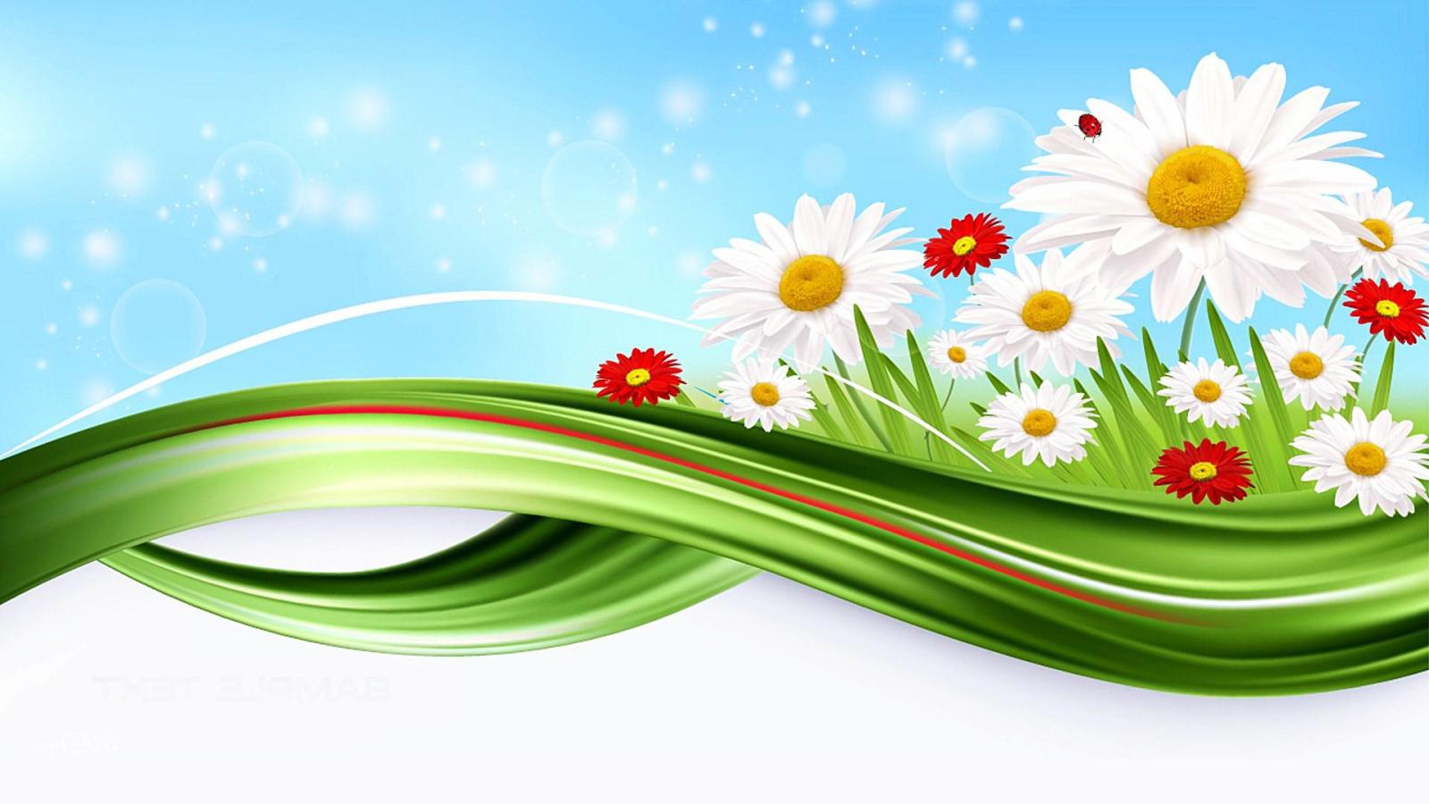1920x1080 HD Bright Daisy Abstract Wallpaper | Download Free - 139582