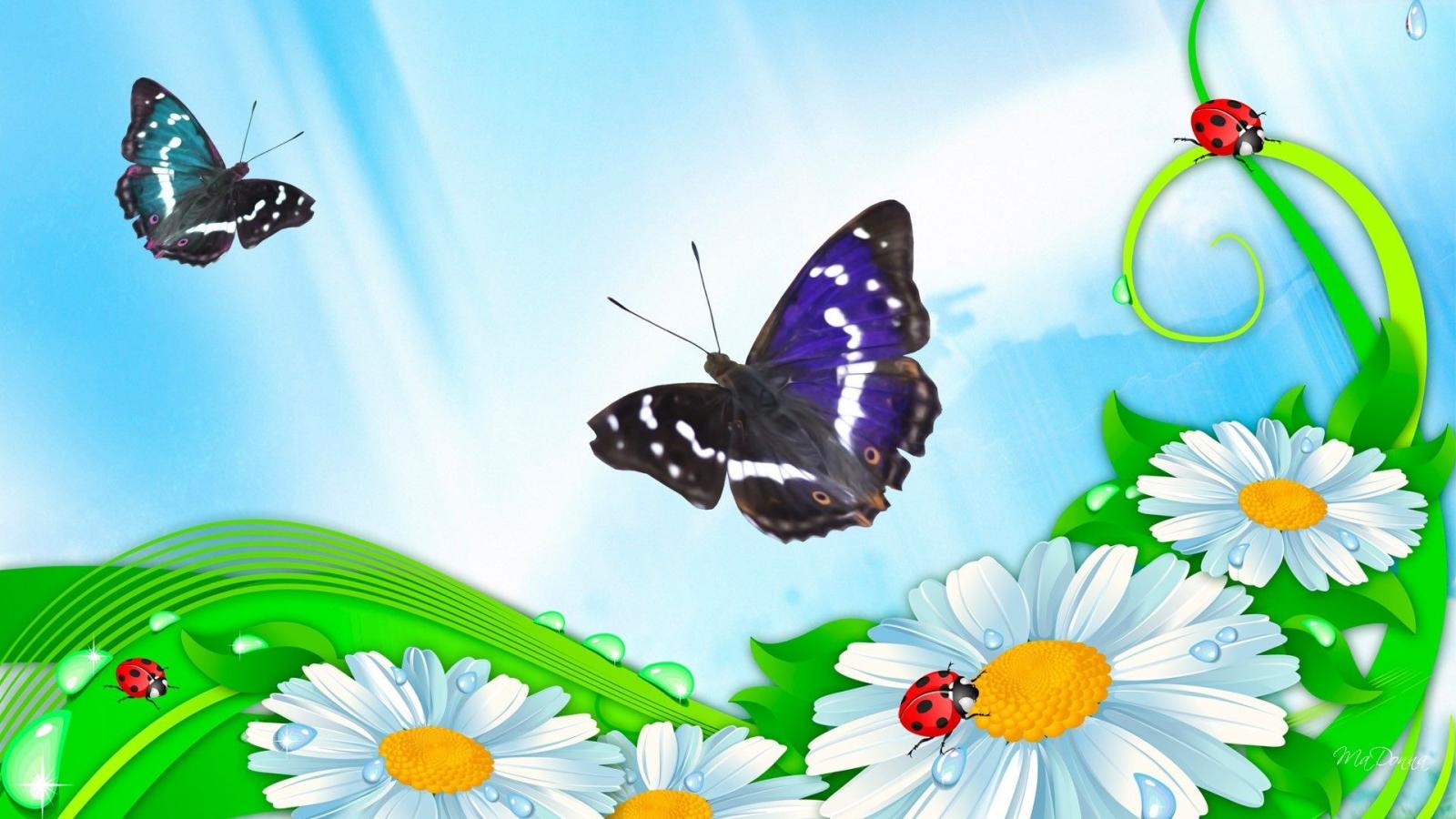 1920x1080 Flowers: Shine Spring Chamomile Bright Daisy Lady Leaves Blue