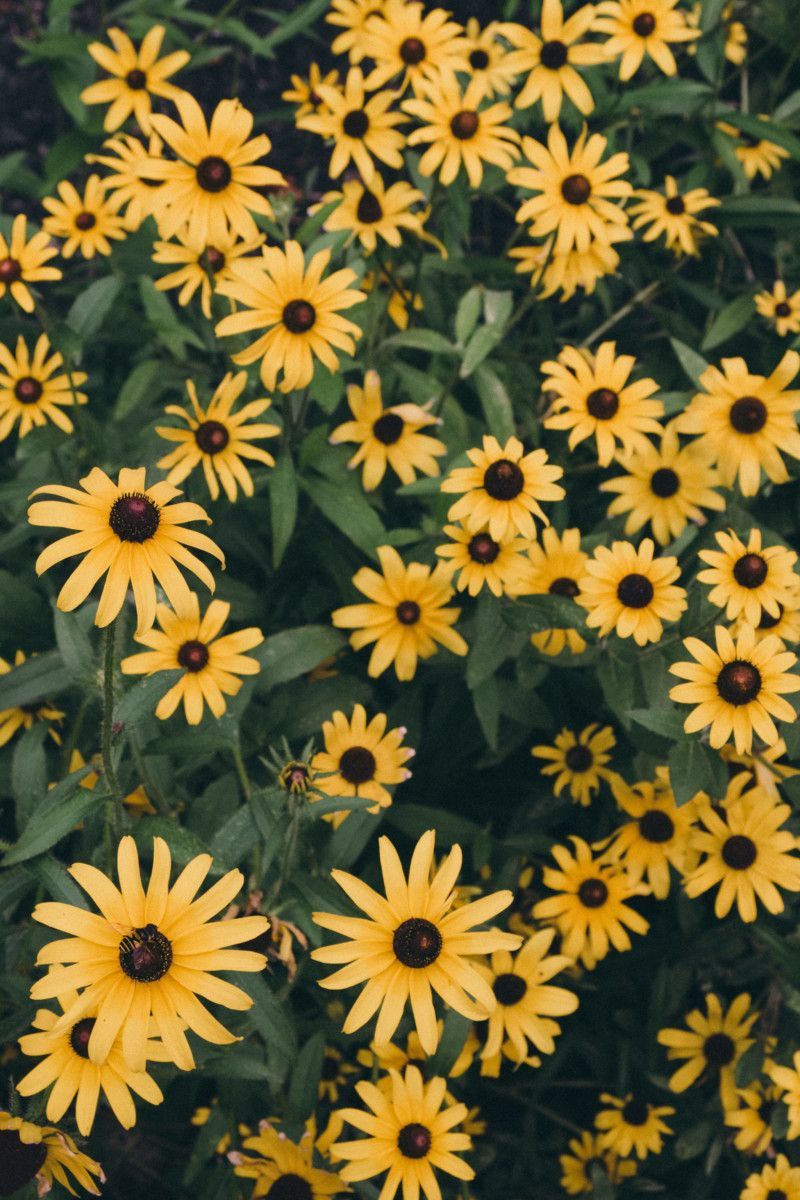 800x1200 She's So Bright - Thoughts for the Weekend and Looking Forward to