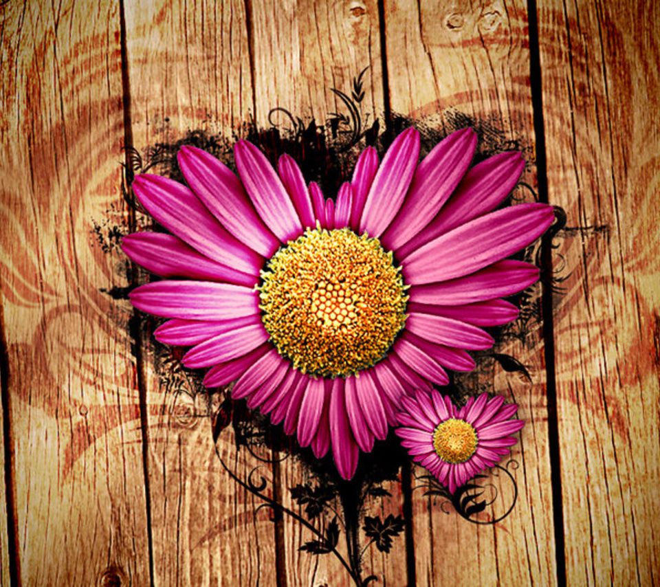 960x854 Pink Daisy Love Android Wallpapers 960x854 Hd Wallpaper For Phone