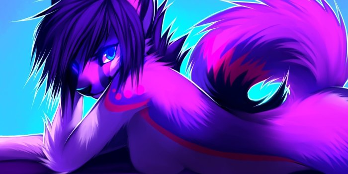 3240x1920 75+ Wolf Furry Wallpapers on WallpaperPlay