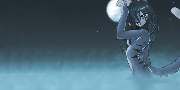 2560x1600 75+ Wolf Furry Wallpapers on WallpaperPlay