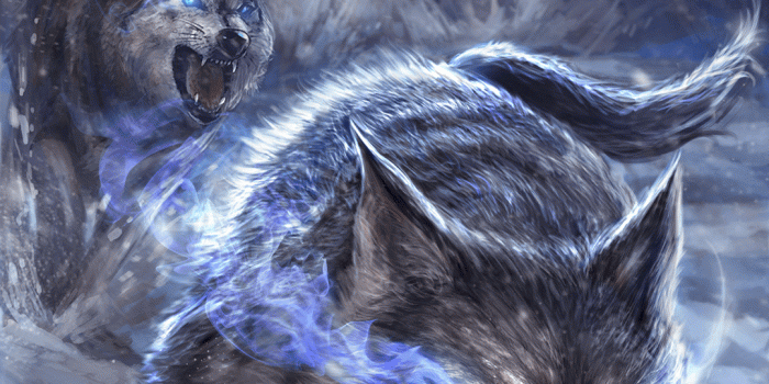 1080x1920 Brisk wolf live wallpaper! | Android live wallpapers from Ahatheme