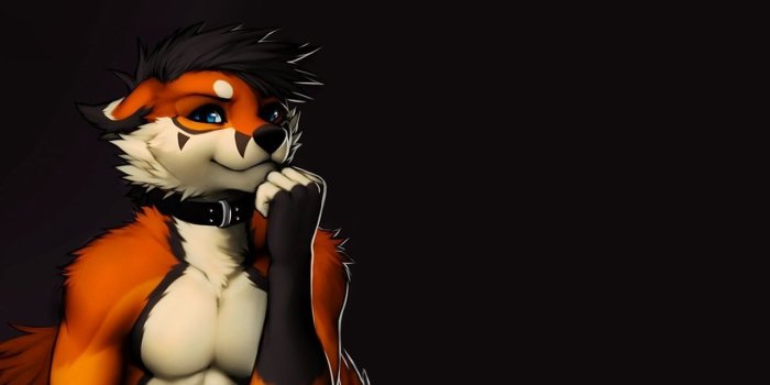 1280x960 Furry Wallpapers (79+ images in Collection) Page 2