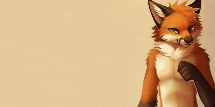 1920x1080 75+ Wolf Furry Wallpapers on WallpaperPlay