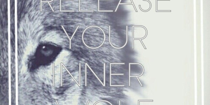 869x1399 Iphone wallpaper - release your inner wolf | Wolf- Hardulf- Hardisty