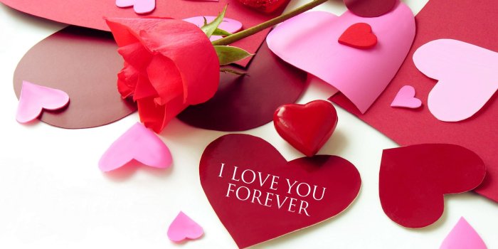 1920x1200 Flower I Love You Wallpaper