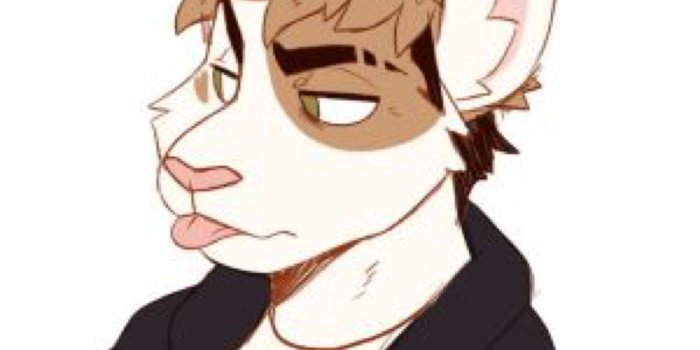2463x2922 alt fursona by TODD-NET on @DeviantArt | Keeepshd in 2019 | Furry