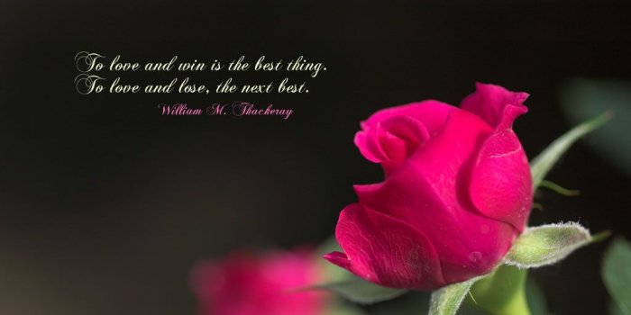 1024x768 41+] I Love Him Wallpaper on WallpaperSafari