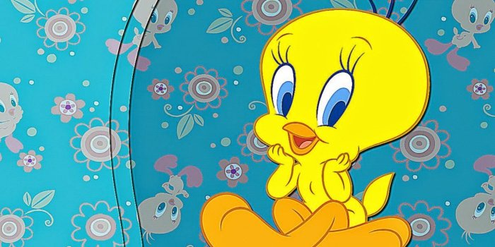 1203x870 Tweety Bird Cartoon Wallpaper | Wallpapers Gallery