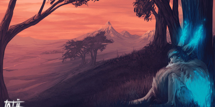 1600x904 furry wallpapers | Djiwallpaper.co