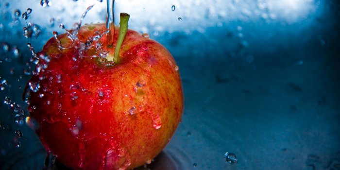 1920x1200 Red Apple Fruit Wallpapers - 1920x1200 - 368876