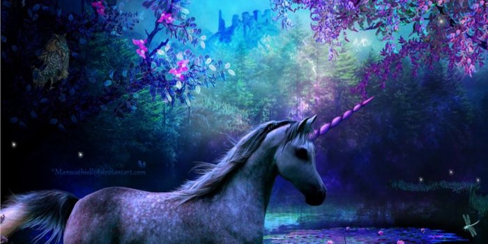 1024x768 Unicorn wallpaper | 1024x768 | #66215