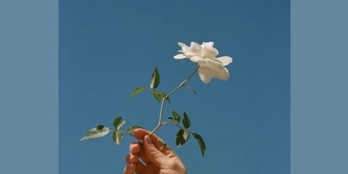 750x1334 ✰ pinterest & instagram | @yjessicax ✰ | words | Tumblr wallpaper