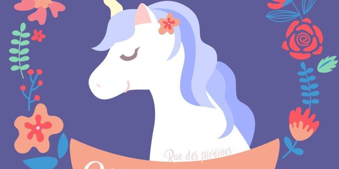 1080x1920 Beautiful Unicorn Wallpaper (51+), Download 4K Wallpapers For Free