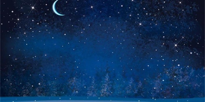 1364x929 AOFOTO 7x5ft Dreamy Moon Night Fantasy Snowflake Backdrop Winter Forest  Blurry Pine Trees Photography Background Cartoon Stars Fairy Tale Christmas 