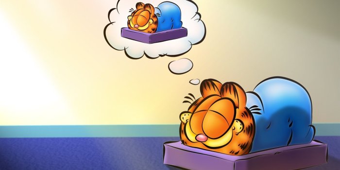 1920x1200 Wallpaper Cartoon star Garfield 1920x1200 HD Picture, Image