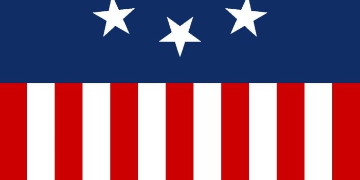 1440x2880 Enclave flag wallpaper I made (fallout) (1440x2880) : phonewallpapers