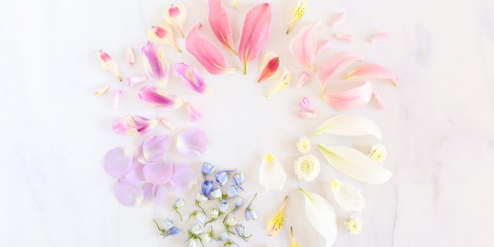 2499x1665 DIGITAL BLOOMS JUNE 2018 | FREE DESKTOP WALLPAPERS - JustineCelina