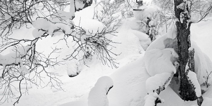 1600x1067 Wallpaper Wednesday Japanese Powder Babies | Transworld Snowboarding