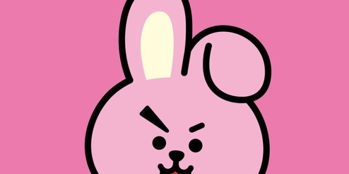 845x1200 BT21 Cooky Wallpapers
